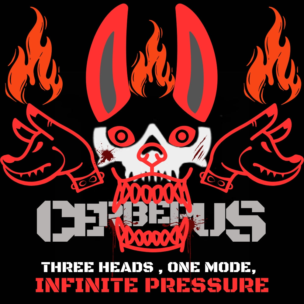 CERBERUS BJJ DESIGN image 0